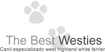 The Best Westies Canil especializado west highland white terrier